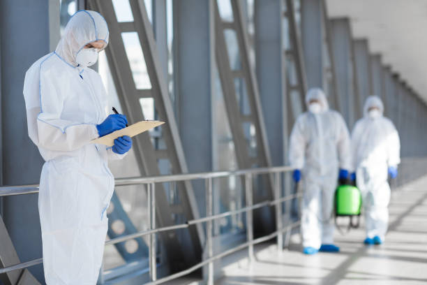 Trusted Fairview, TN Mold Removal Experts