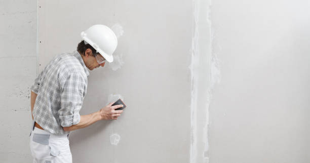 Best Biohazard Mold Removal  in Fairview, TN