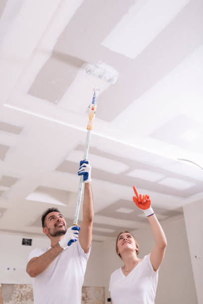 Best Mold Odor Removal Services  in Fairview, TN