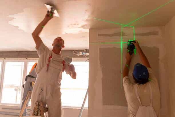 Best Commercial Mold Inspection  in Fairview, TN