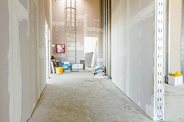 Best Crawl Space Mold Remediation  in Fairview, TN