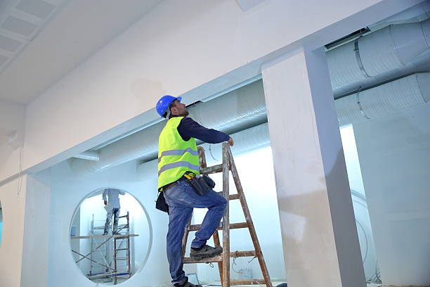Best Emergency Mold Remediation  in Fairview, TN