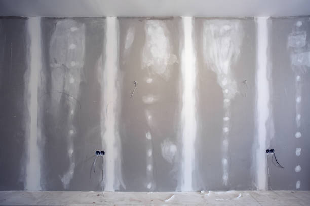 Best Mold Damage Restoration  in Fairview, TN